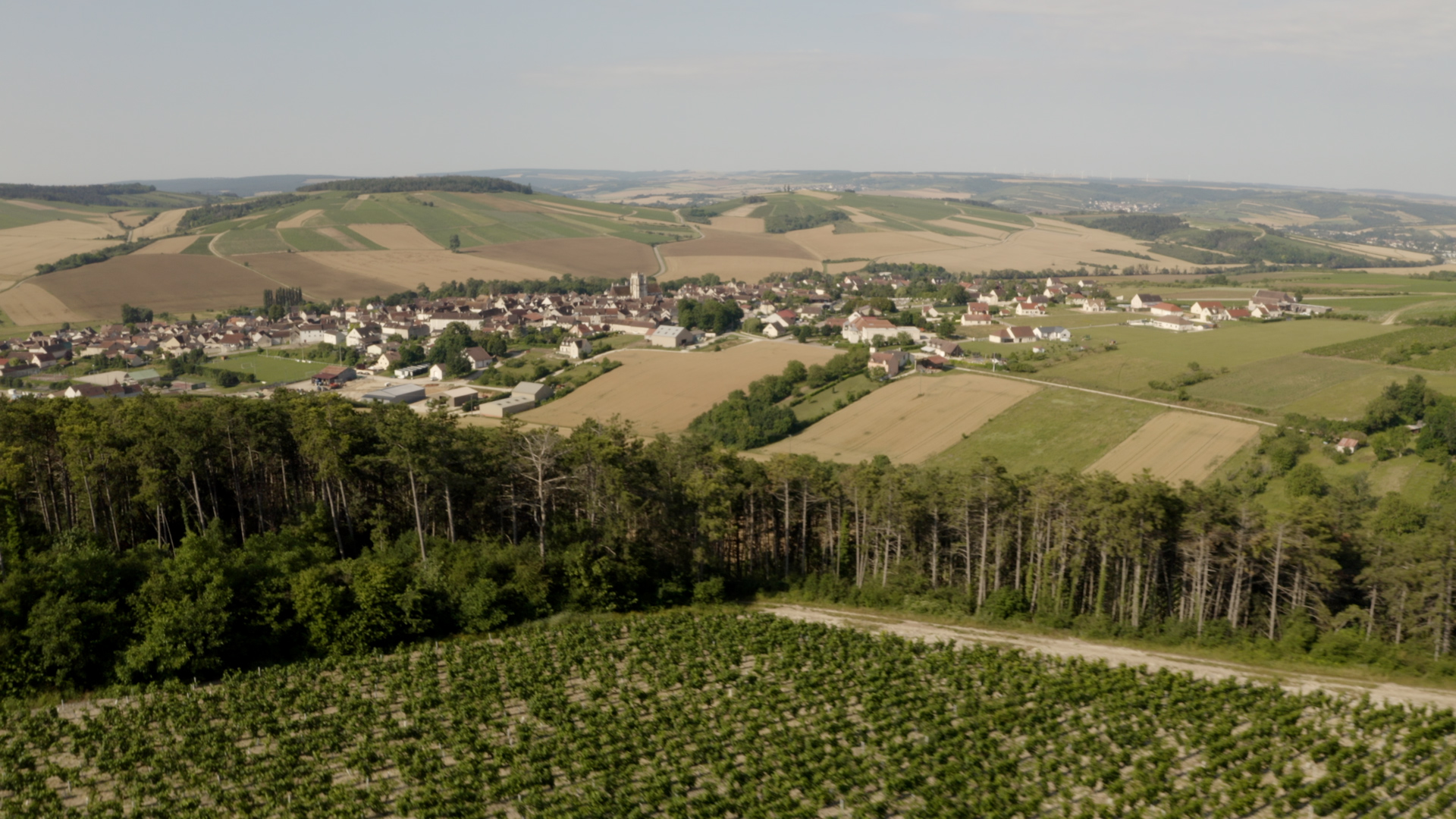 Saint-Bris-le-Vineux